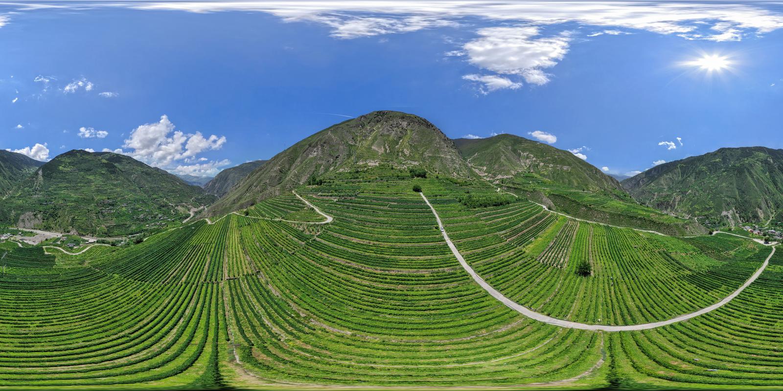 _小金县_马厂_匡家湾_葡萄园4_(3)